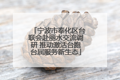 宁波市奉化区台联会赴丽水交流调研 推动激活台胞台属服务新生态