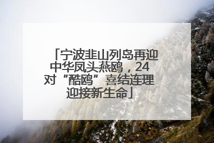 宁波韭山列岛再迎中华凤头燕鸥，24对“酷鸥”喜结连理迎接新生命