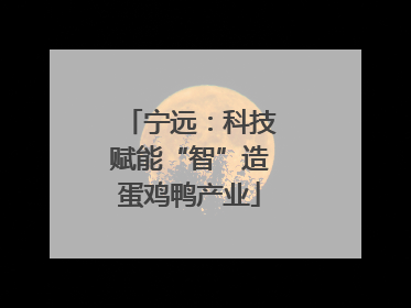 宁远：科技赋能“智”造蛋鸡鸭产业