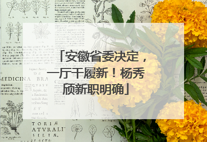安徽省委决定，一厅干履新！杨秀颀新职明确