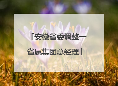 安徽省委调整一省属集团总经理