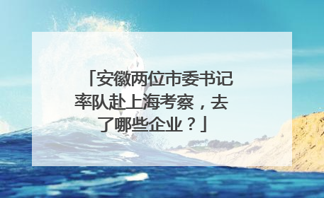 安徽两位市委书记率队赴上海考察，去了哪些企业？