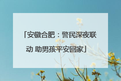 安徽合肥：警民深夜联动 助男孩平安回家