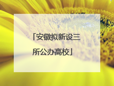 安徽拟新设三所公办高校