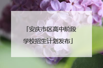 安庆市区高中阶段学校招生计划发布