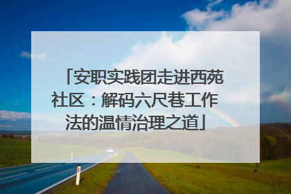 安职实践团走进西苑社区：解码六尺巷工作法的温情治理之道