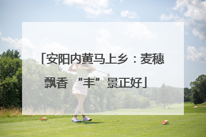 安阳内黄马上乡：麦穗飘香 “丰”景正好