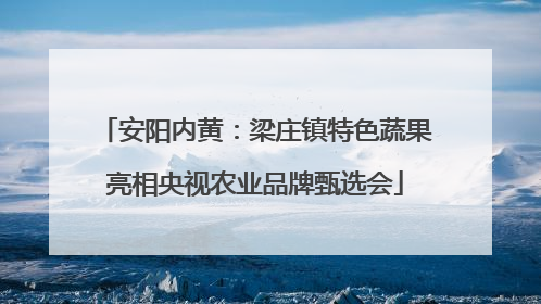 安阳内黄：梁庄镇特色蔬果亮相央视农业品牌甄选会