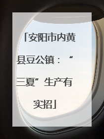 安阳市内黄县豆公镇：“三夏”生产有实招