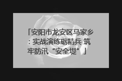 安阳市龙安区马家乡：实战演练砺精兵 筑牢防汛“安全堤”
