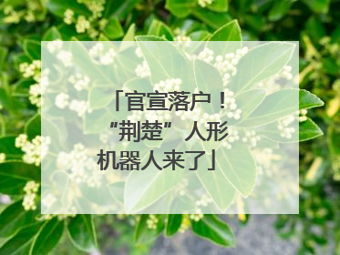 官宣落户！“荆楚”人形机器人来了