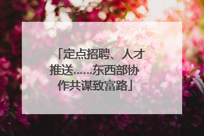 定点招聘、人才推送……东西部协作共谋致富路