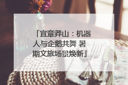 宜章莽山：机器人与企鹅共舞 暑期文旅场景焕新