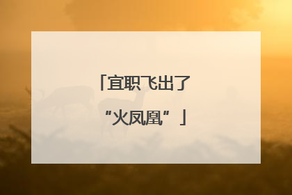 宜职飞出了“火凤凰”