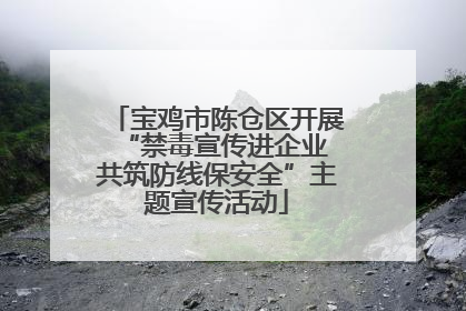 宝鸡市陈仓区开展“禁毒宣传进企业 共筑防线保安全”主题宣传活动