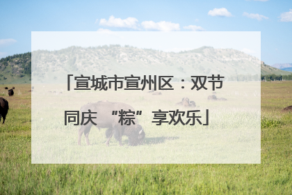宣城市宣州区：双节同庆 “粽”享欢乐