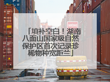 填补空白！湖南八面山国家级自然保护区首次记录珍稀物种宽距兰