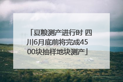 夏粮测产进行时 四川6月底前将完成4500块抽样地块测产