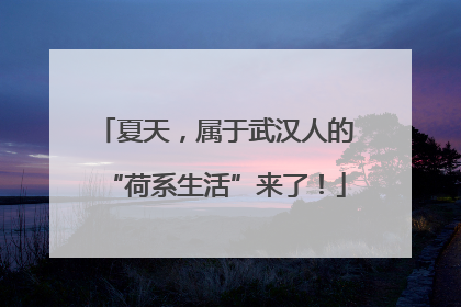 夏天，属于武汉人的“荷系生活”来了！