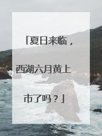 夏日来临，西湖六月黄上市了吗？