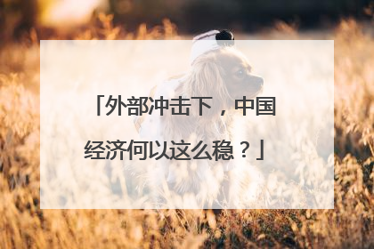 外部冲击下，中国经济何以这么稳？