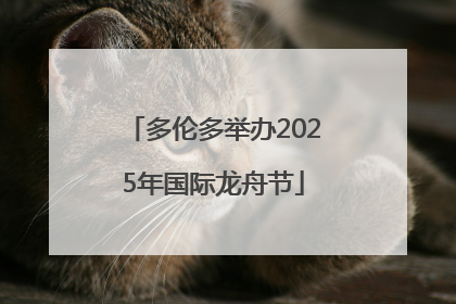 多伦多举办2025年国际龙舟节