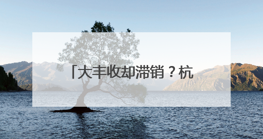 大丰收却滞销？杭州餐厅老板驱车两小时收购山地土豆