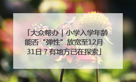 大众帮办｜小学入学年龄能否“弹性”放宽至12月31日？有地方已在探索