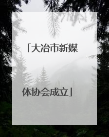 大冶市新媒体协会成立