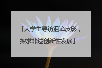 大学生寻访沮漳皮影，探求非遗创新性发展