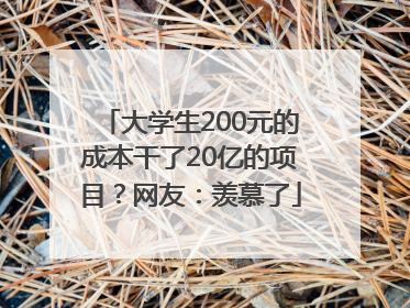 大学生200元的成本干了20亿的项目？网友：羡慕了