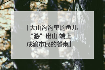 大山沟沟里的鱼儿 “游”出山 端上成渝市民的餐桌