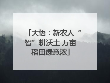 大悟：新农人“智”耕沃土 万亩稻田绿意浓