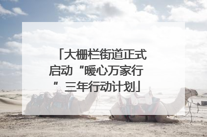 大栅栏街道正式启动“暖心万家行”三年行动计划