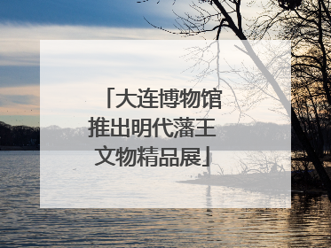 大连博物馆推出明代藩王文物精品展