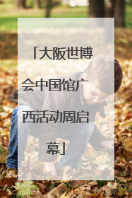 大阪世博会中国馆广西活动周启幕