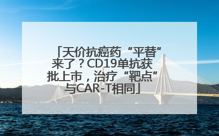 天价抗癌药“平替”来了？CD19单抗获批上市，治疗“靶点”与CAR-T相同