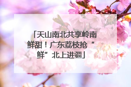 天山南北共享岭南鲜甜！广东荔枝抢“鲜”北上进疆