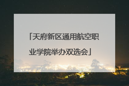 天府新区通用航空职业学院举办双选会