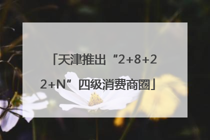 天津推出“2+8+22+N”四级消费商圈