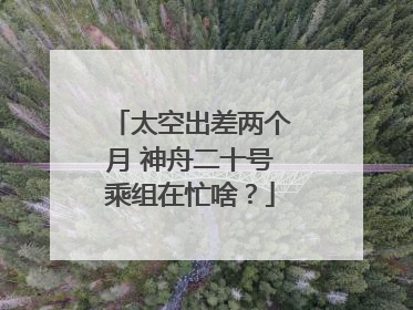 太空出差两个月 神舟二十号乘组在忙啥？