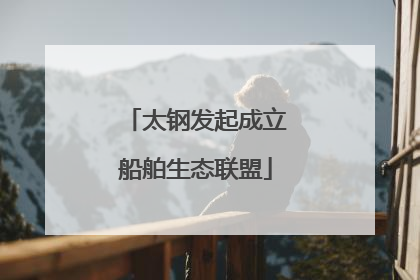 太钢发起成立船舶生态联盟