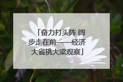 奋力打头阵 阔步走在前——经济大省挑大梁观察