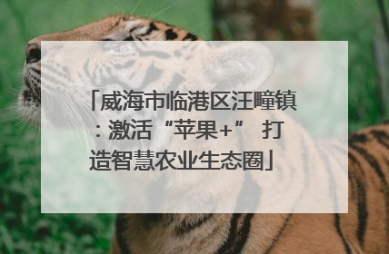 威海市临港区汪疃镇：激活“苹果+” 打造智慧农业生态圈