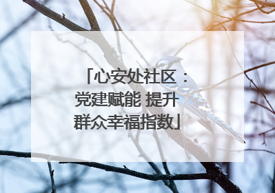 心安处社区：党建赋能 提升群众幸福指数