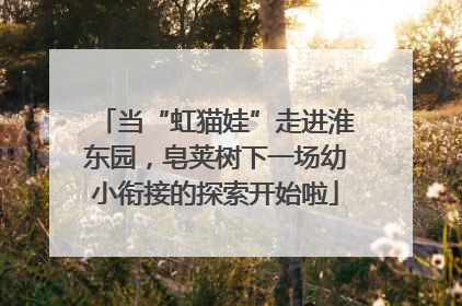 当“虹猫娃”走进淮东园，皂荚树下一场幼小衔接的探索开始啦