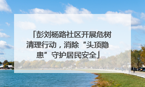 彭刘杨路社区开展危树清理行动，消除“头顶隐患”守护居民安全