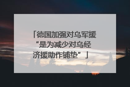 德国加强对乌军援 “是为减少对乌经济援助作铺垫”