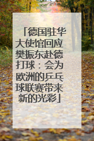 德国驻华大使馆回应樊振东赴德打球：会为欧洲的乒乓球联赛带来新的光彩