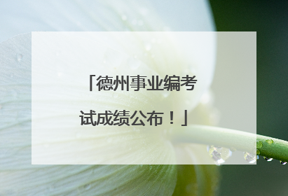 德州事业编考试成绩公布！